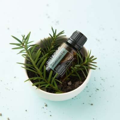 doTERRA Sibirische Tanne Ätherisches Öl